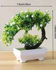 Small Bonsai Tree