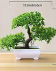Small Bonsai Tree