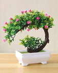 Small Bonsai Tree