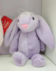Lop-Eared Rabbit Plush Toy