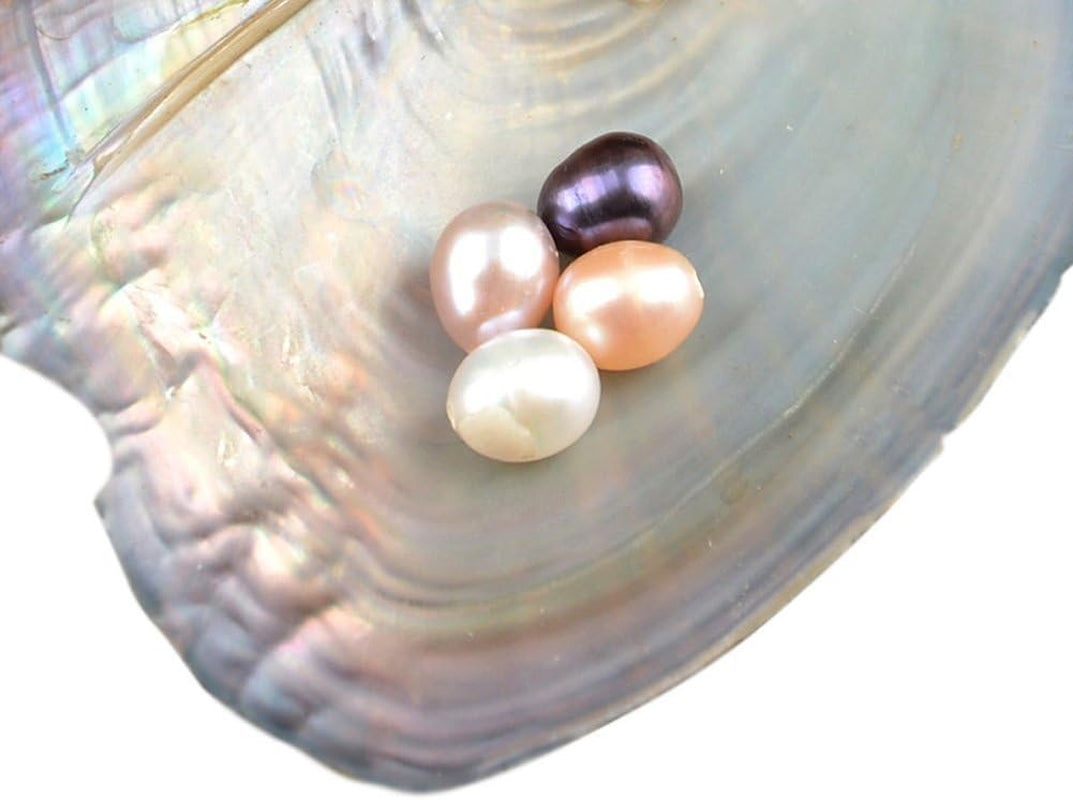 10 PC Freshwater Cultured Pearl Oyster Oval Pearls with White/Pink/Purple/Black, Birthday Gifts(7.5-8Mm)