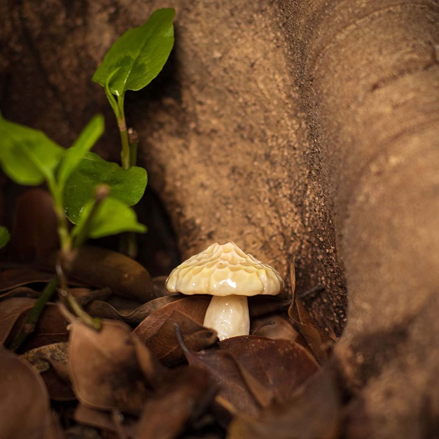 Life like Mushroom Polymer Clay Casting Silicone Mold and Veiner for Fondant Cake Decorating, Modelling Chocolate