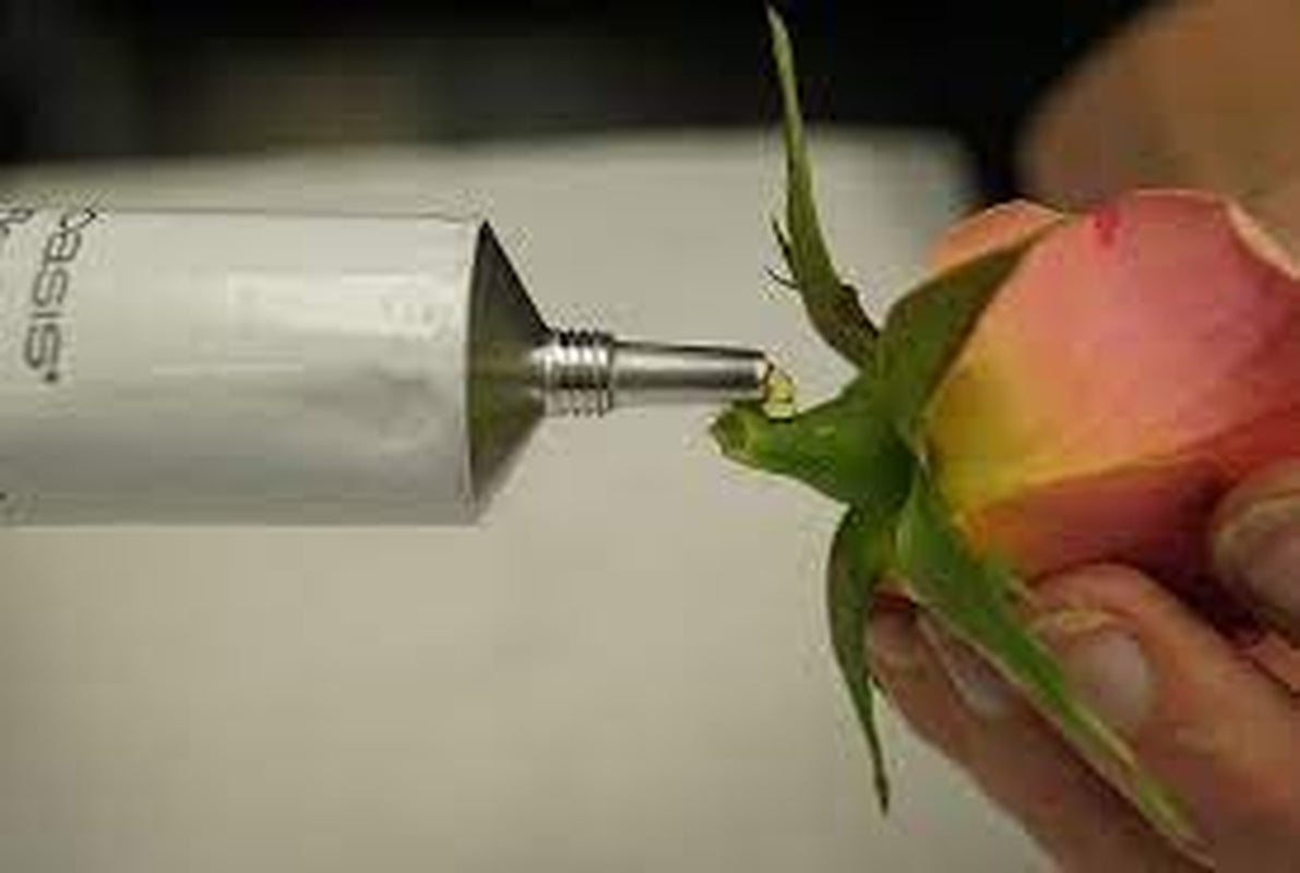 2 Pack of 39G Oasis Floral Adhesive Tube