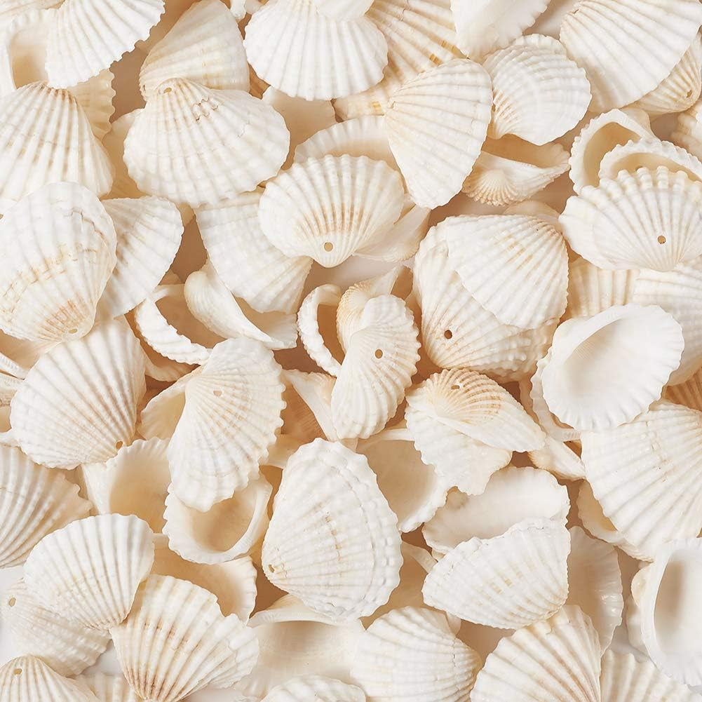 Box of 117Pcs Natural Clam Shell Pendants 21.5-24.5X8.5-11.5 Beach Ocean Seashell Beads Charms for Vase Filler Fish Tank Jewelry Making Hole:1.5-1.6Mm
