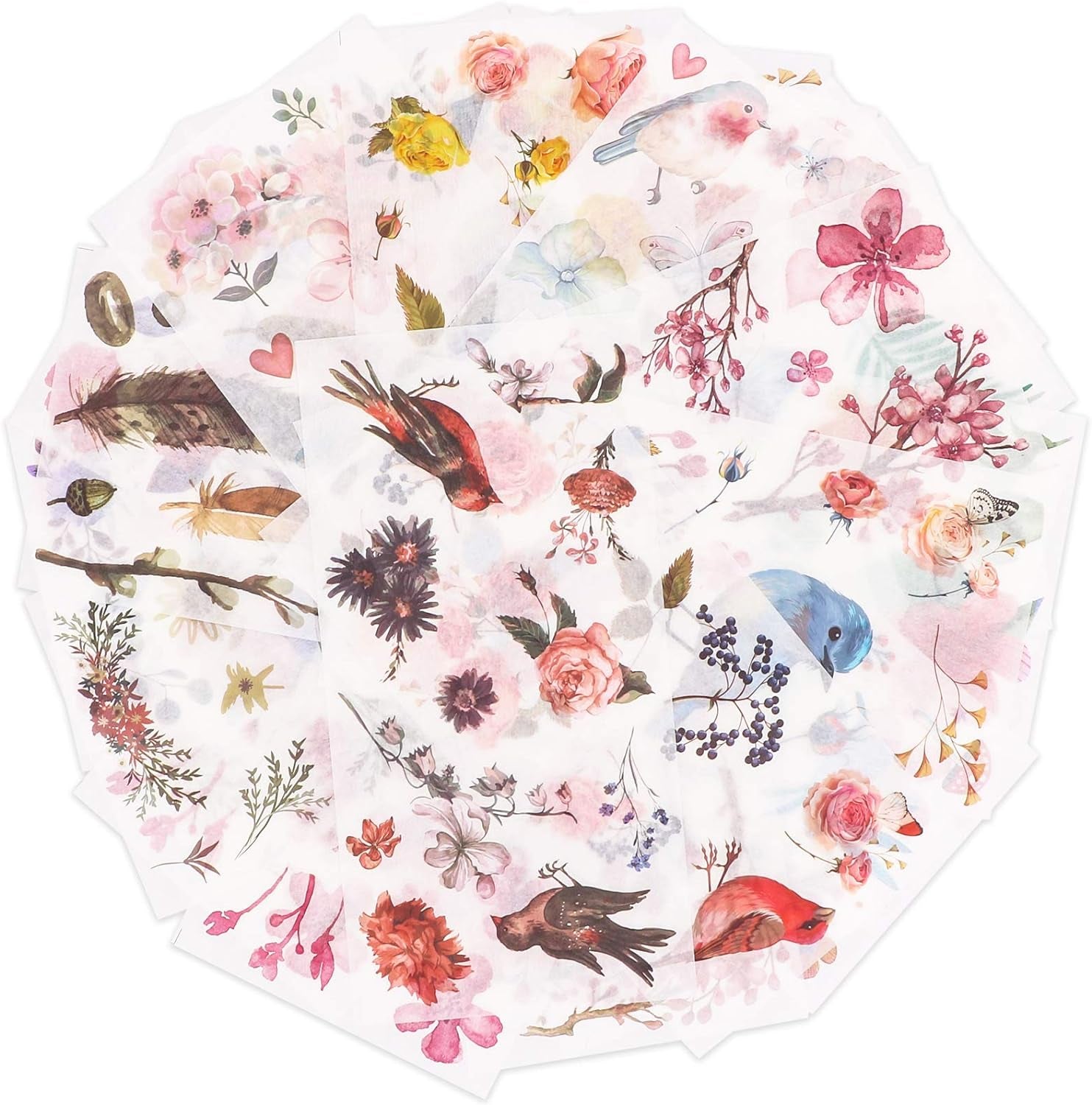 Watercolor Birds and Flowers Stickers Set - Decorative Sticker for Scrapbooking, Kid DIY Arts Crafts, Album, Bullet Journaling, Junk Journal, Planners, Calendars and Notebook