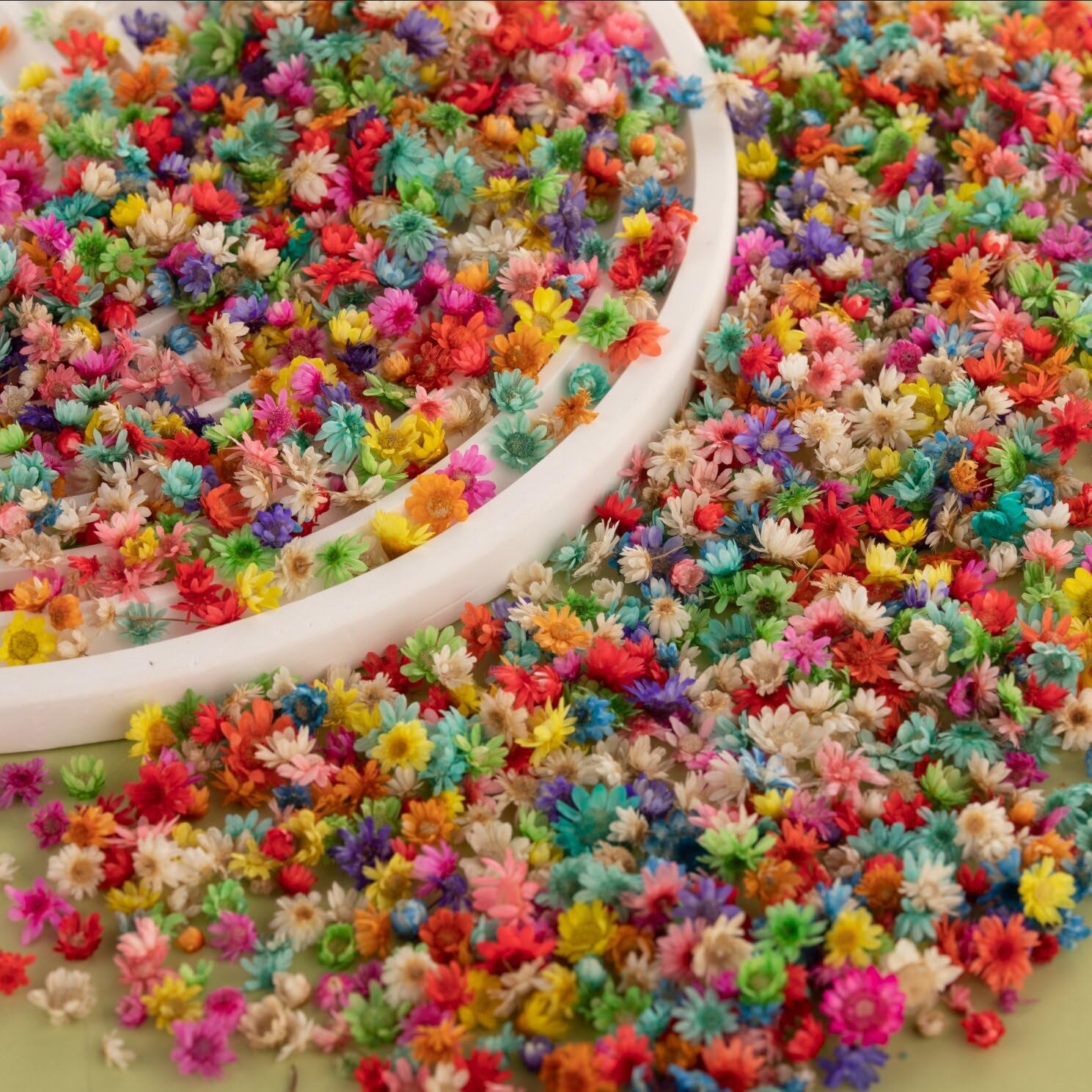 900 PCS Small Dried Flowers for Crafts Resin - Tiny Dried Flowers for Nails, Natural Real Dried Pressed Flowers Bulk for DIY Jewelry Earrings Epoxy Molds, Candles Making, Soap Making