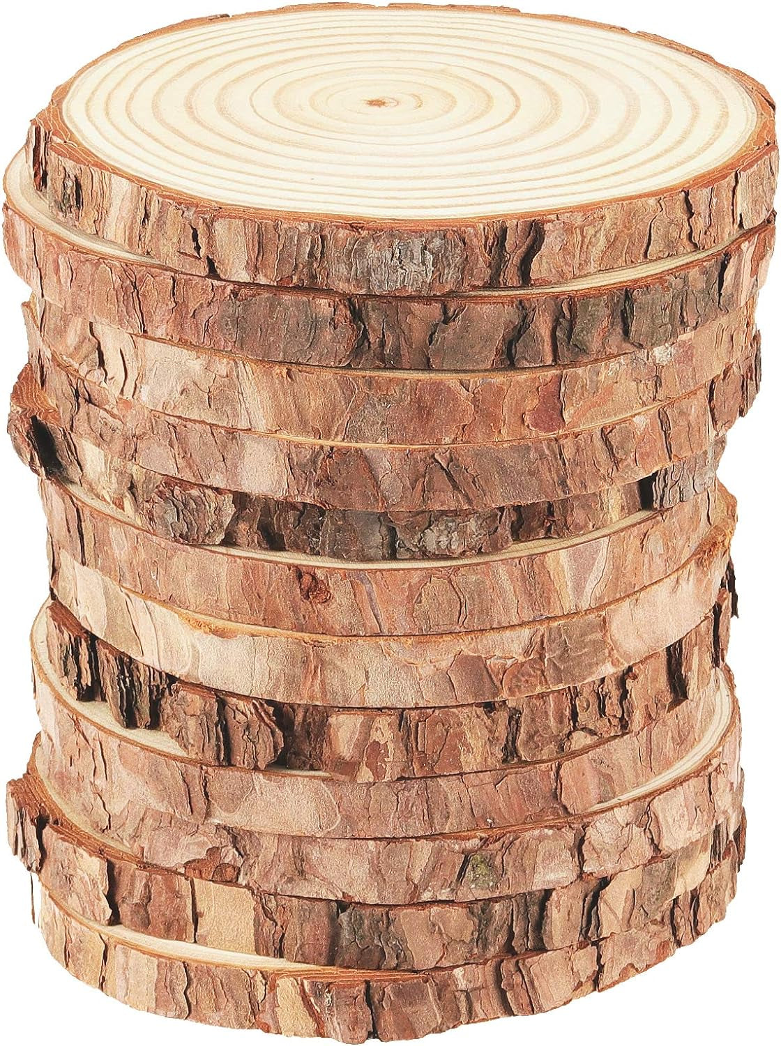 12 Pcs 6-7 Inch Wood Slices for Crafts, Unfinished Wood Rounds with Bark, round Wooden Discs Circles for Christmas Ornaments Wedding Rustic Decoration DIY Handcrafts Arts