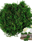 Faux Moss for Potted Plants Artificial Moss for Crafts Fake Moss Decor Green Moss for Crafts Fairy Garden Plants Filler Decorative Moss Table Centerpieces Wedding Christmas Crafts Party Decor