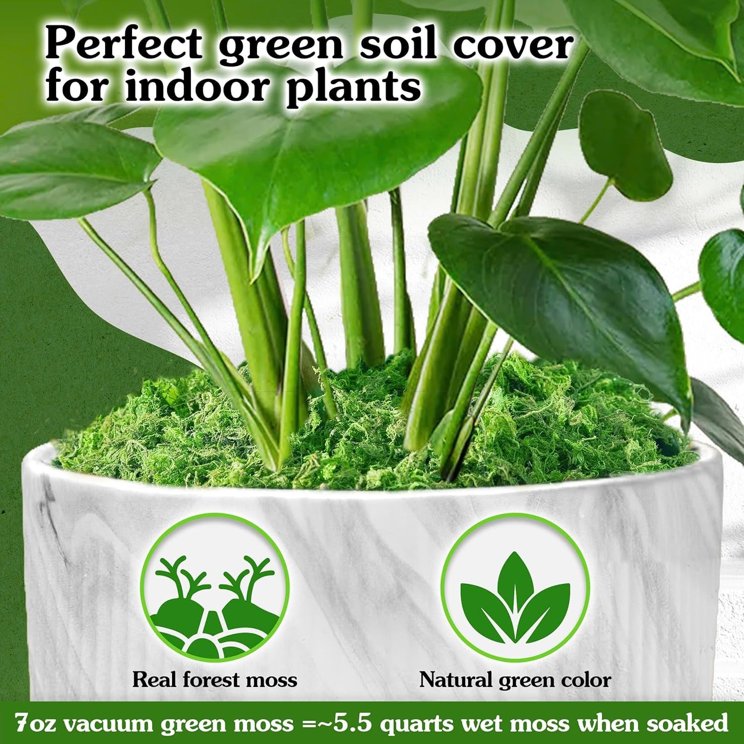 Green Craft Moss, Real Forest Moss for Planters, Decorative Moss for Table Centerpieces Wedding Christmas Fairy Party Decor, Forest Moss for Indoor Planters, DIY Project 7 Oz