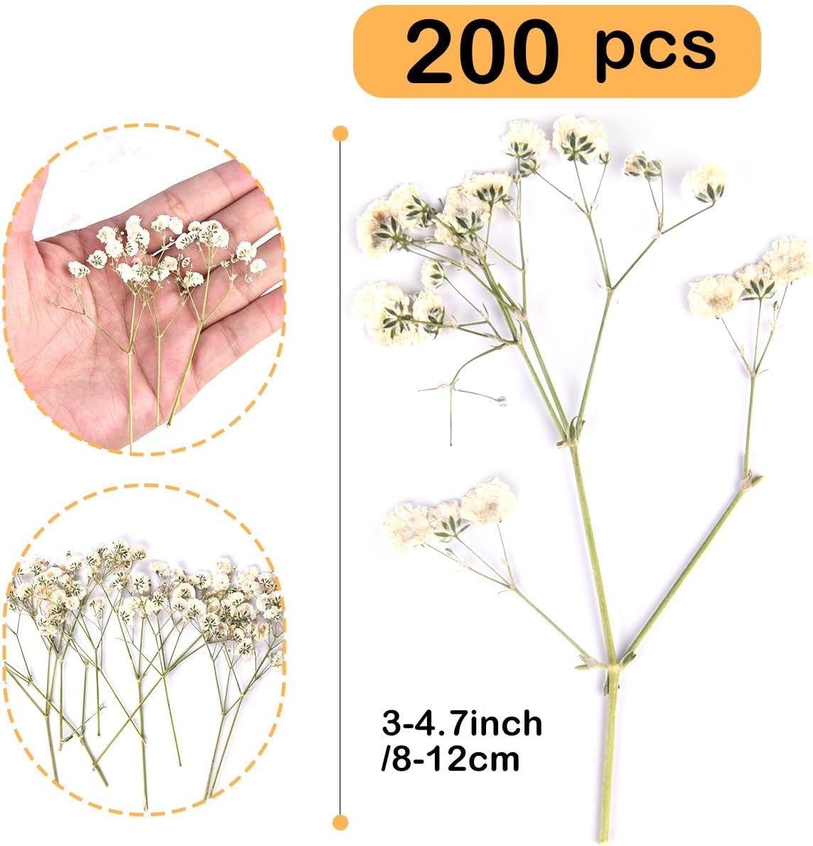 200PCS  White Dried Flowers Small Baby'S Breath Flowers Nature Real Dry Pressing Floral Natural Gypsophila Dried Flowers for Wedding Resin Art Craft DIY Card Making