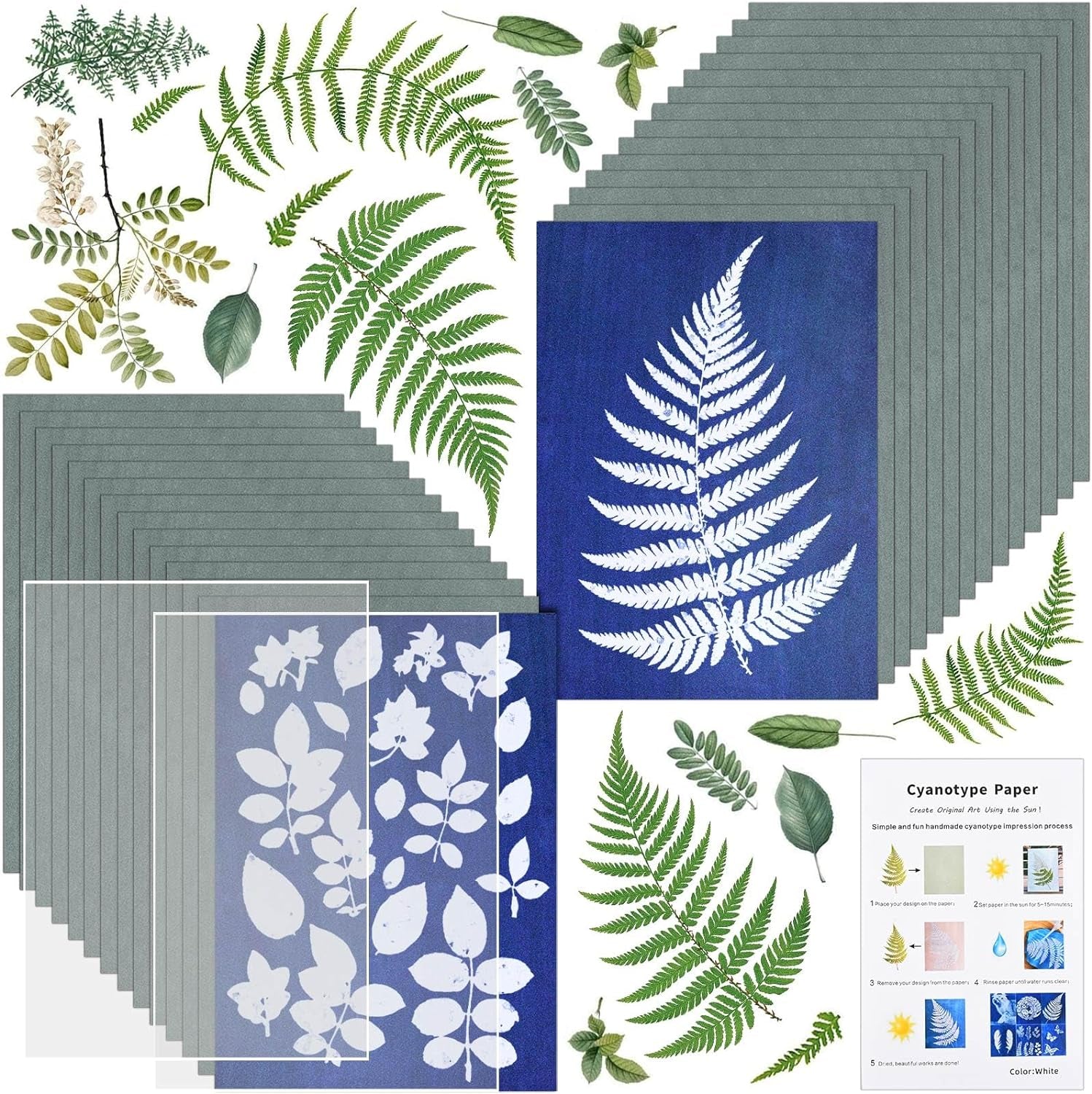 Sun Print Paper Kit, Cyanotype Paper, 30 Sheets Cyanotype Papers with 2 Sheet Acrylic Panel, High Sensitive Nature Sun/Solar Activated Sun Printing Art Paper for Flower Press Arts Crafts DIY Project