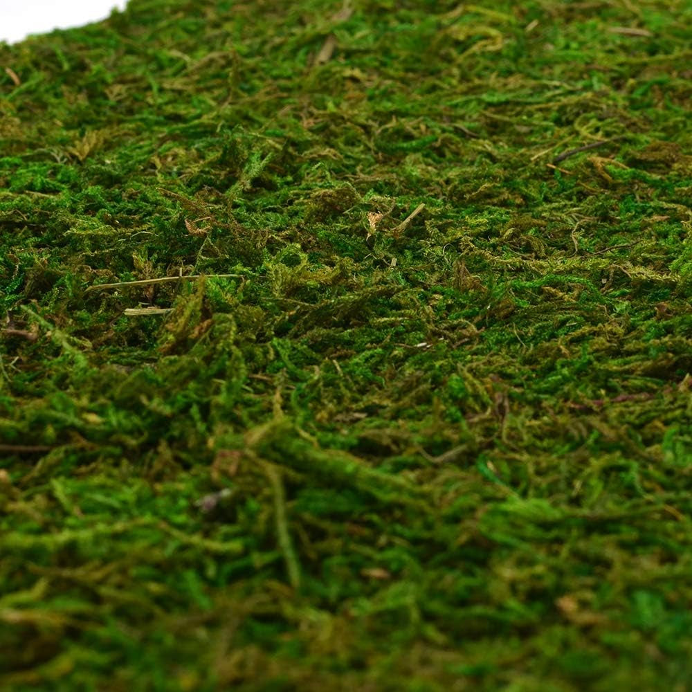 Dried Moss Mat for Wedding Birthday Party Fairy Garden Decorations, Dark Green (Green - 14&quot; X 9&quot;)
