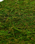Dried Moss Mat for Wedding Birthday Party Fairy Garden Decorations, Dark Green (Green - 14" X 9")
