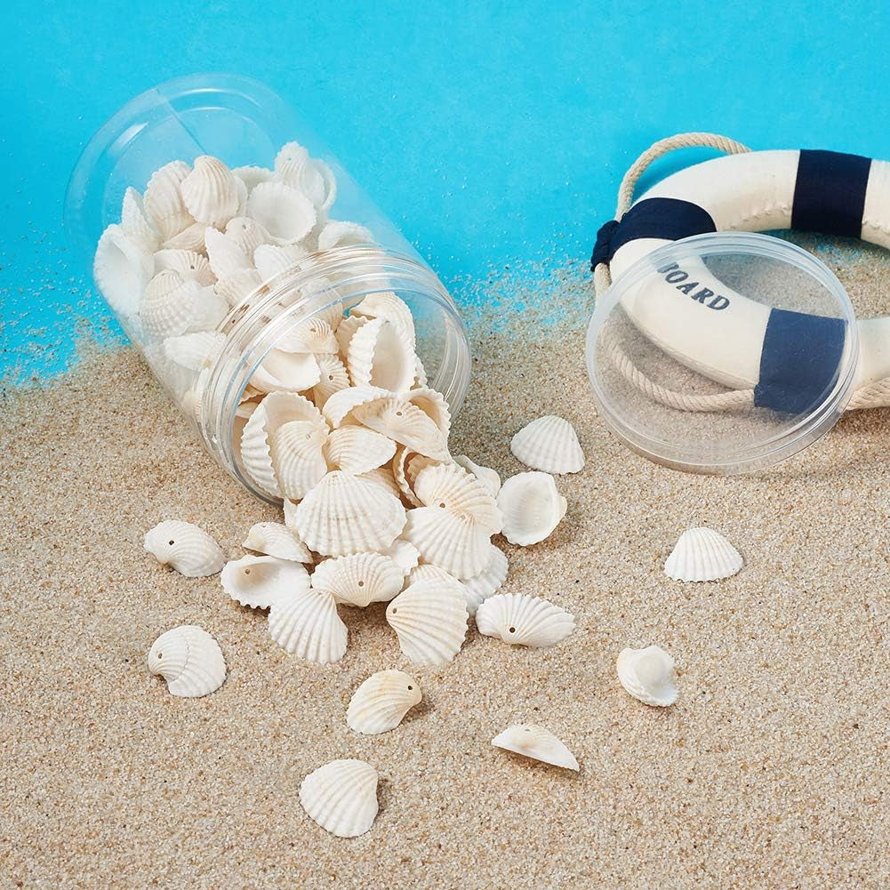 Box of 117Pcs Natural Clam Shell Pendants 21.5-24.5X8.5-11.5 Beach Ocean Seashell Beads Charms for Vase Filler Fish Tank Jewelry Making Hole:1.5-1.6Mm