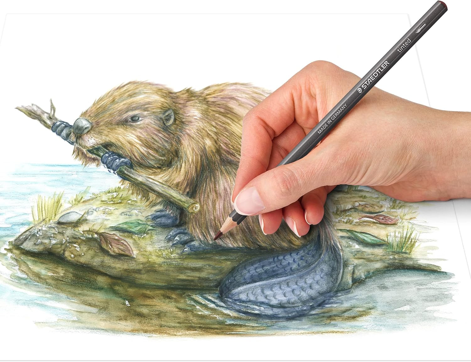 Water-Soluble Tinted Graphite Pencils, Watercolor Artist Set, Pre-Sharpened, 12 Colors in Metal Tin, 14610T M12