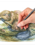 Water-Soluble Tinted Graphite Pencils, Watercolor Artist Set, Pre-Sharpened, 12 Colors in Metal Tin, 14610T M12
