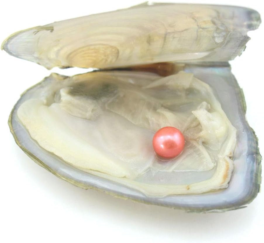 10PC Freshwater Pearl Cultured Love Wish Pearl Oyster with round Pearl inside for Pearl Gift Fun for Children Family Friends Party Oyster with Pearls Inside(6-8Mm, 10PC)