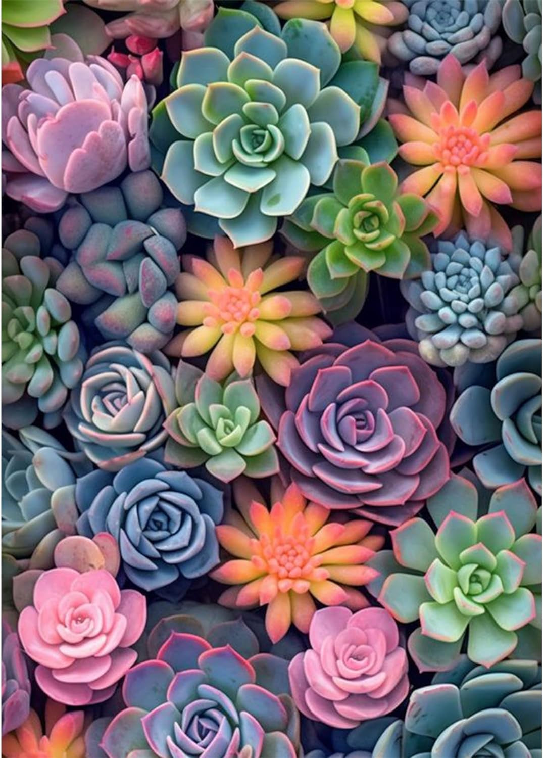Succulent Paint by Numbers Kits for Adults Beginners-Succulent Plant Paint by Number for Adults,Easy Canvas Paint by Numbers for Adults for Home Wall Decoration and Gifts 16X20 Inch
