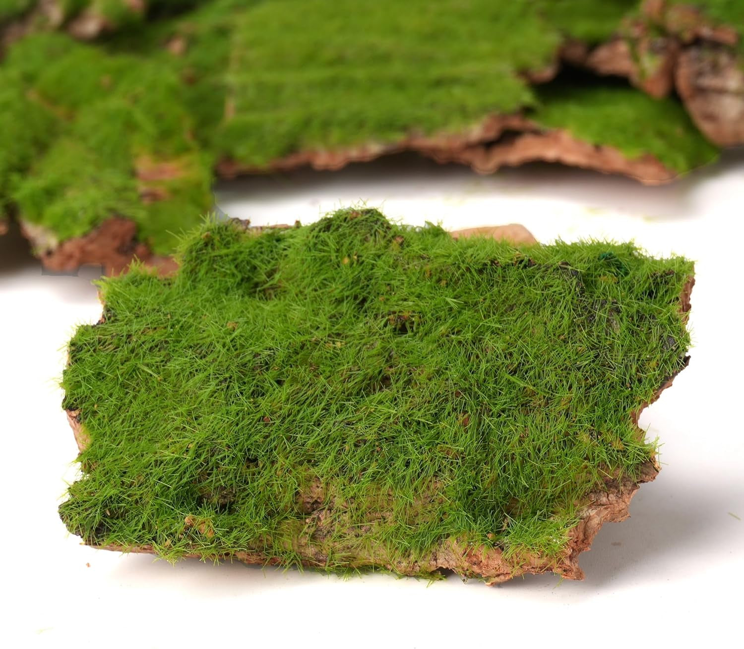 Assorted Artificial Moss Bark, Decorative Mossy Tree Bark for DIY Crafts, Fairy Gardens, Terrariums, Floral Arrangements (Realistic Green - 100Gr)