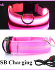 Glowing Dog Collar