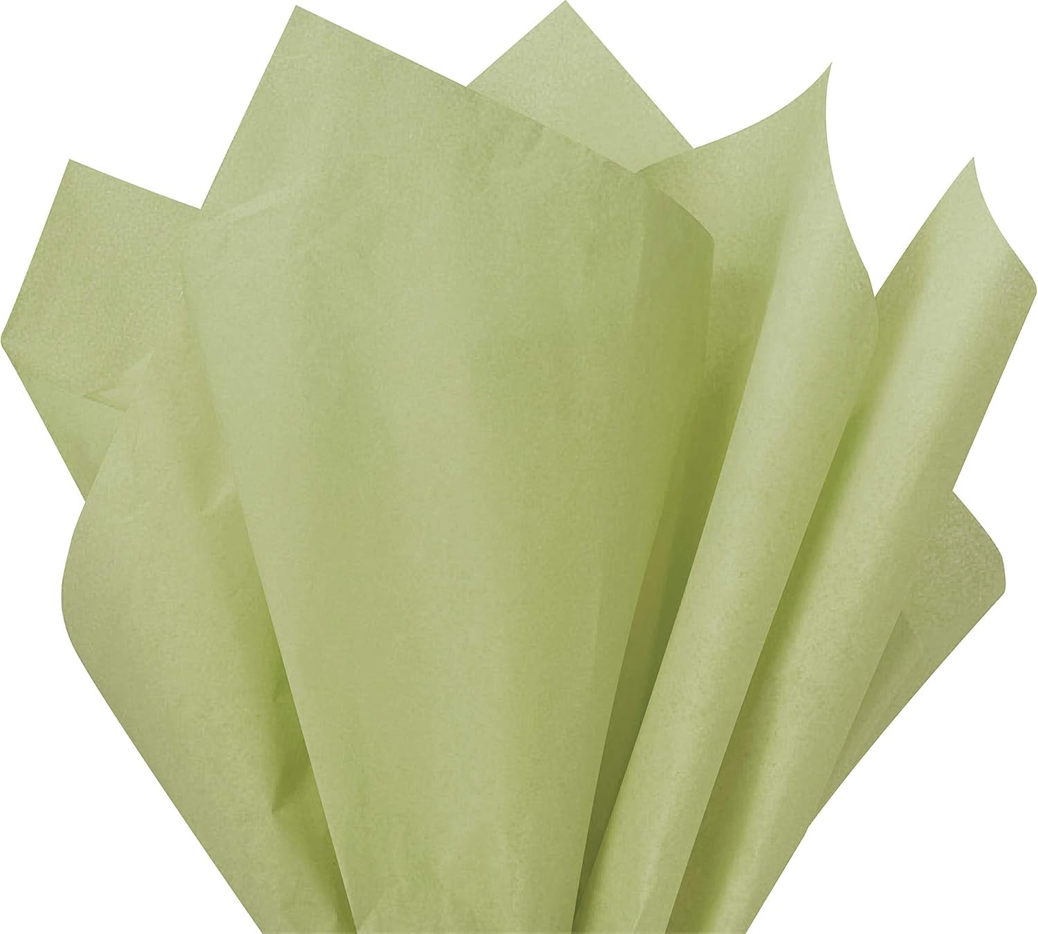 Gift Wrap Tissue Paper | Size: 15 Inch X 20 Inch | Count: 100 Sheets (Green)