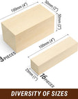 BW19 Basswood Carving Blocks Whittling Wood Carving Kit 19PCS Wooden Blocks for Crafts Bass Wood for Carving - Unfinished Wood Blocks Set Craft Soft Wood Carving Blocks, Piece of Wood