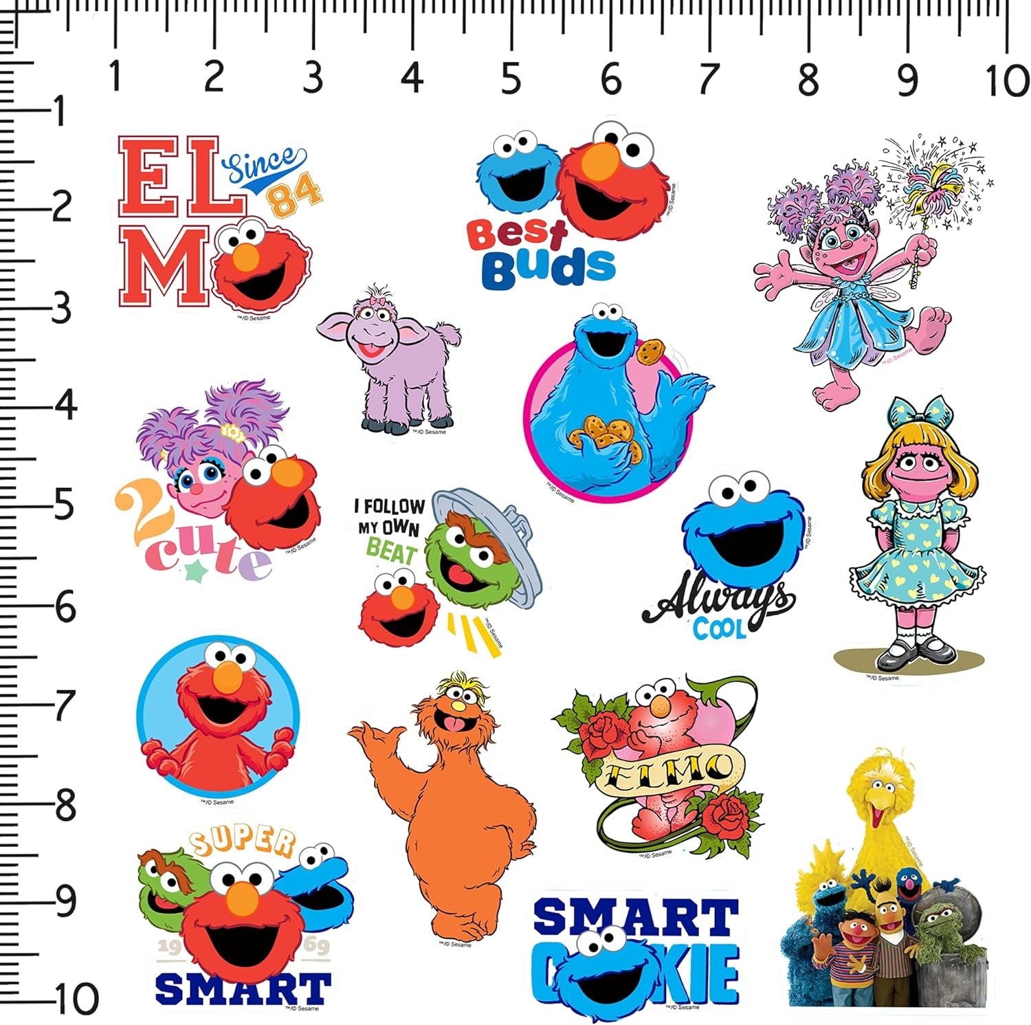 Sesame Street Sticker Pack Die Cut Vinyl Large Deluxe Stickers Variety Pack - Laptop, Water Bottle, Scrapbooking, Tablet, Skateboard, Indoor/Outdoor - Set of 50