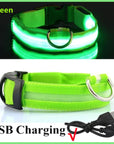 Glowing Dog Collar