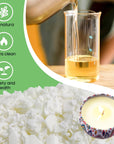 Candle Making Kit Supplies, Soy Wax DIY Candle Making for Adults, with 900Ml Candle Make Pouring Pot, Candle Wicks, Wicks Sticker, Wicks Holder, Thermometers