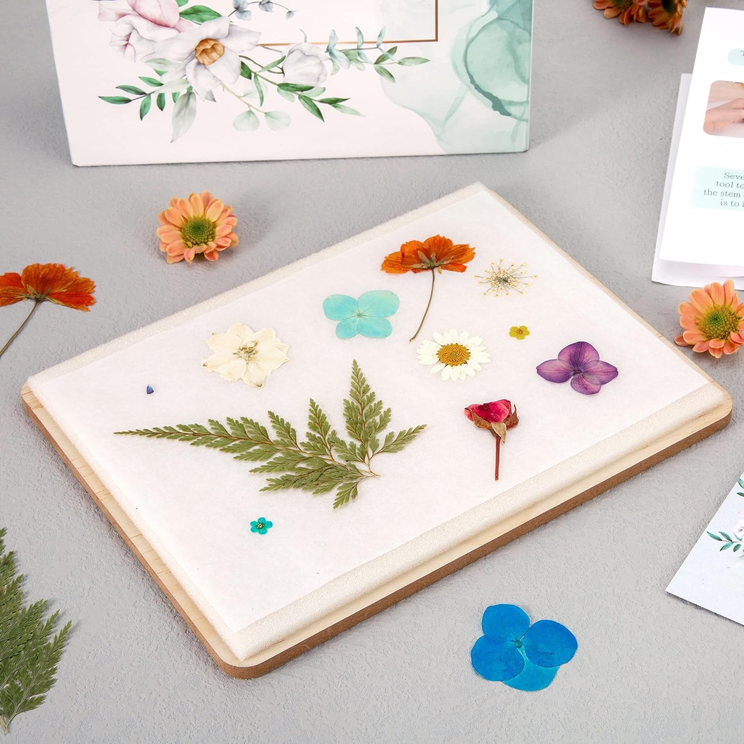 Flower Press Kit, Large Wooden Flower Pressing Kit for Adults Kids, 6 Layers 6.3 X 8.3 Inch Flower Press Leaf Pressing Kit to Making Dried Plants, DIY Flower Preservation Kit Crafts