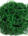 (26928) Spanish Moss Preserved, Hunter, 3Lbs