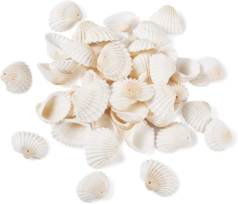 Box of 117Pcs Natural Clam Shell Pendants 21.5-24.5X8.5-11.5 Beach Ocean Seashell Beads Charms for Vase Filler Fish Tank Jewelry Making Hole:1.5-1.6Mm