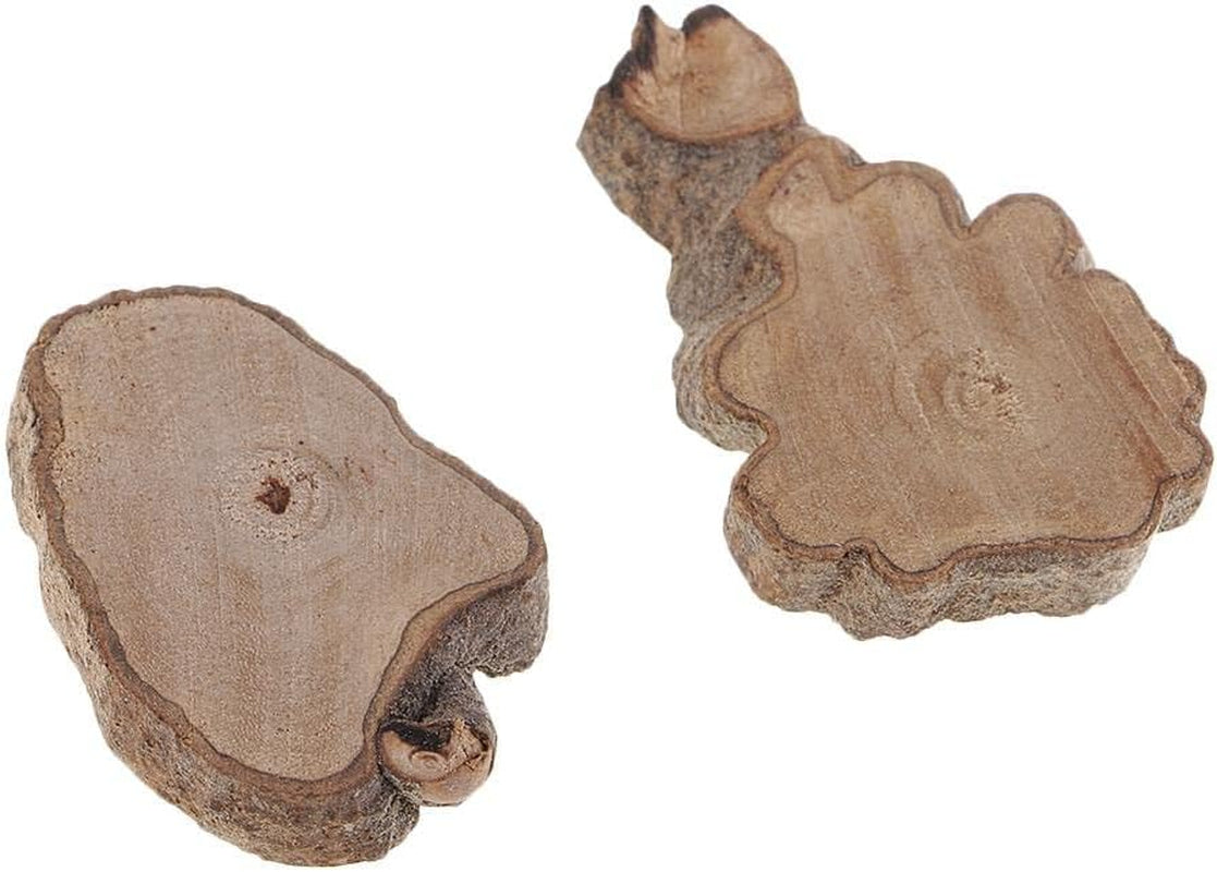 30Pcs Irregular Wood Log Slices Natural Tree Decorative Embellishments