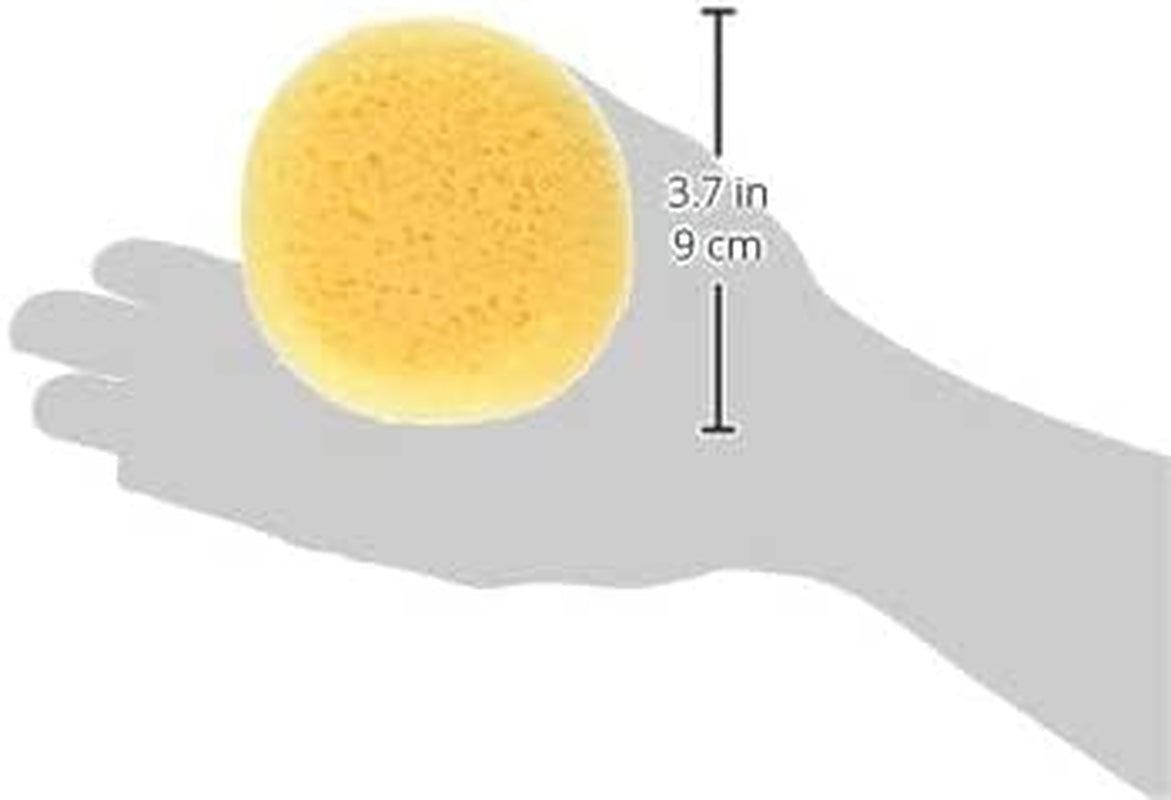 ® 10 Pack of 3-1/2 Inch round Synthetic Silk Sponges for Painting, Crafts, Ceramics, Household Use &amp; More! Pack of 10 Sponges
