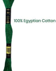 Pack of 12 Premium Embroidery Thread | 100% Egyptian Cotton Premium Skeins | Cross Stitch Embroidery Floss | Oeko TEX Certified Stranded Cotton | (Medium Brown 358)