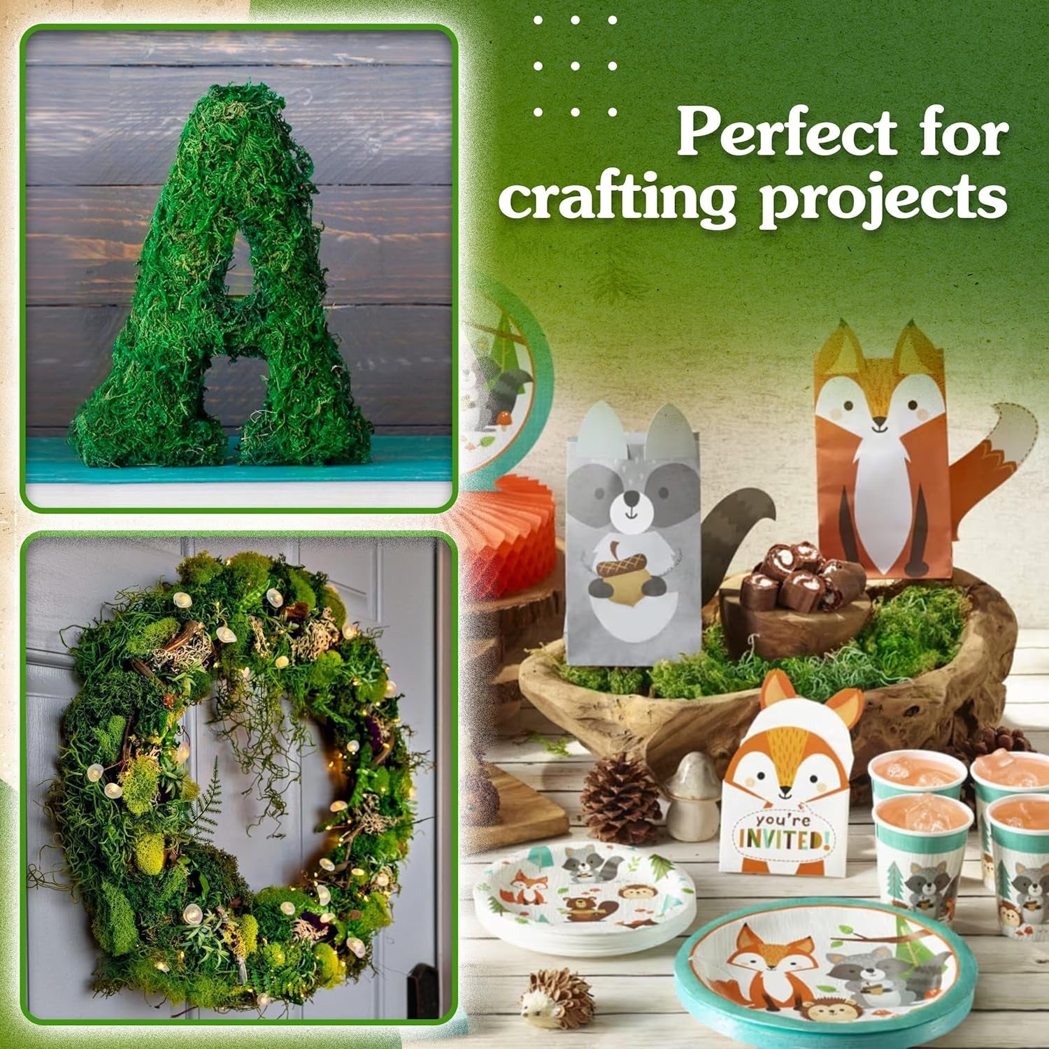 Green Craft Moss, Real Forest Moss for Planters, Decorative Moss for Table Centerpieces Wedding Christmas Fairy Party Decor, Forest Moss for Indoor Planters, DIY Project 7 Oz