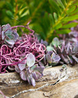 (26963) Spanish Moss Preserved, Dusty Rose, 4Oz