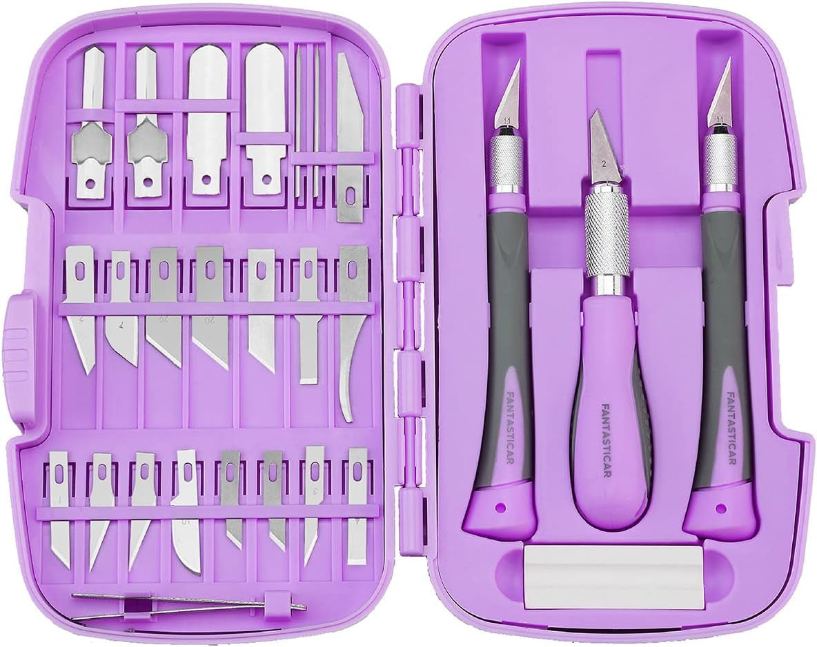 Craft Knife Precision Cutter Hobby Knife Blades Set (30Pcs) for Art Work, Scrapbooking, Stencil, Architecture Modeling, Wood Leather Working (Purple)