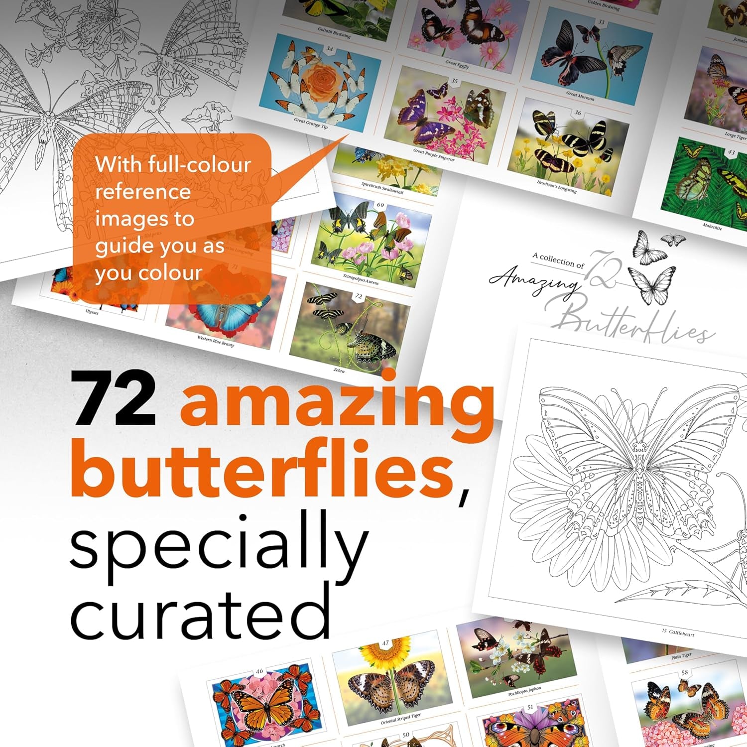 Castle Arts Butterflies Coloring Book | 72 Amazing Beauties Curated by In-House Artists with Color Reference Guide | No Show-Thru Artist Grade Paper | Collectable Landscape A4 Size (Butterflies)