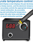 Wood Burning Tool,Wood Burning Kit Pen 25~750℃,Professional Wood Burning Kit,With Digital Thermometer Temperature Adjustable Temperature,1 Wood Burning Pens, 30 Wood Burning Pen Tips