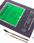 Aquarelle Watercolor Pad, Cold Pressed, 140Lb/300Gsm, 12 Sheet, 10X14 Inch,  Watercolor Paper 100% Cotton
