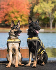 Army Dog Vest