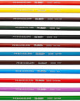 Col-Erase Erasable Colored Pencils, Adult Coloring, 12 Pack