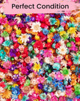 900 PCS Small Dried Flowers for Crafts Resin - Tiny Dried Flowers for Nails, Natural Real Dried Pressed Flowers Bulk for DIY Jewelry Earrings Epoxy Molds, Candles Making, Soap Making