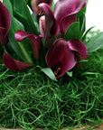 7 59834 26908 3 Moss, 120 Cubic in Bag (Appx. 4Oz), Hunter