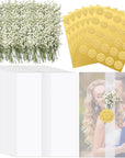 50 Pcs Wedding Invitations Wraps Set Include Pre Folded Vellum Jackets for 5X7 Invitations Natural Dried Pressed Flowers Gold Self Adhesive Envelope Seal Stickers for Craft DIY