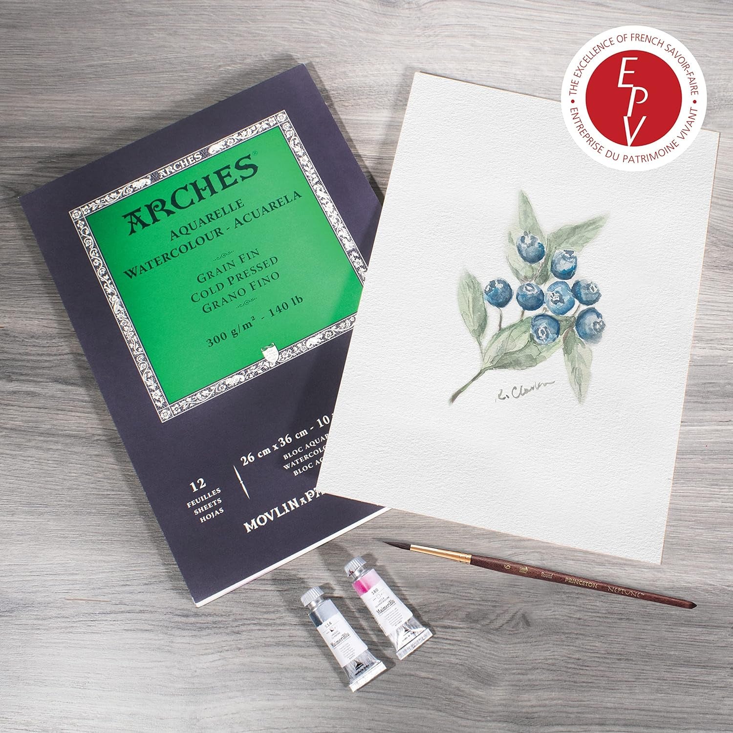 Aquarelle Watercolor Pad, Cold Pressed, 140Lb/300Gsm, 12 Sheet, 10X14 Inch,  Watercolor Paper 100% Cotton