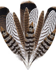 12Pcs Natural Pheasant Feathers 10-30Cm 4 Style Feathers Mixed Feathers for DIY Craft Wedding Home Party Decorations