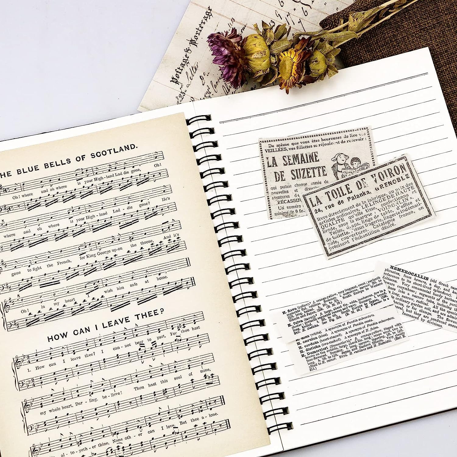 240PCS Junk Journal Pages Vintage Handmade Scrapbook Paper,Mathematics Magazine Newspaper Sheet Music Kraft Paper for Scrapbooking Decoupage Background DIY Craft Decoration(5.51" X 7.87")