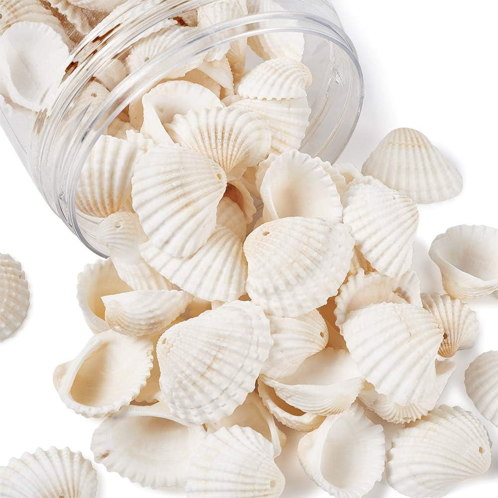 Box of 117Pcs Natural Clam Shell Pendants 21.5-24.5X8.5-11.5 Beach Ocean Seashell Beads Charms for Vase Filler Fish Tank Jewelry Making Hole:1.5-1.6Mm